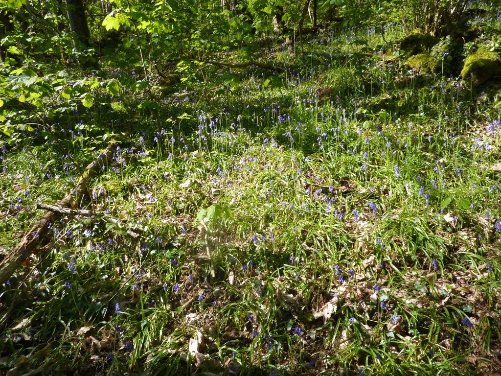 Sortie annuelle 2016